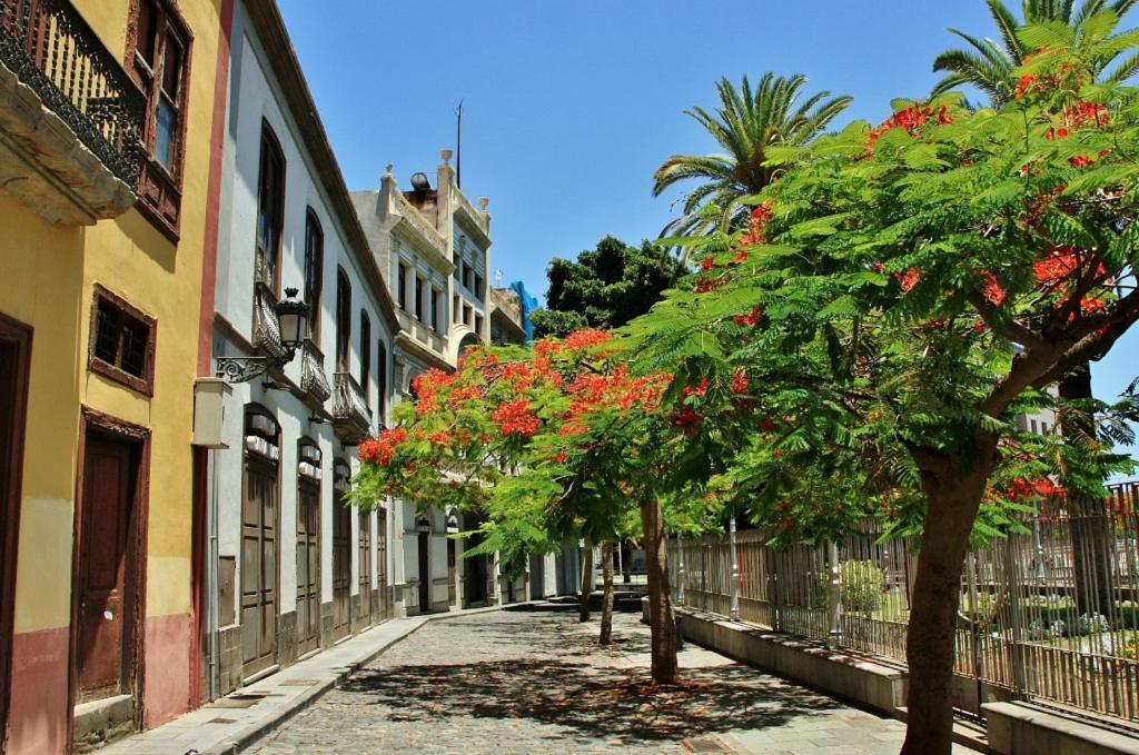 Apartamento Bien Situado - Buenas Conexiones サンタクルスデテネリフェ エクステリア 写真